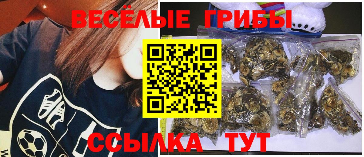 Галлюциногенные грибы мухоморы Зеленокумск