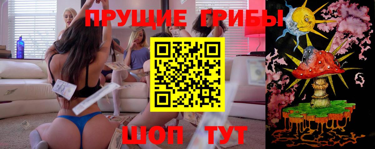 Псилоцибиновые грибы Psilocybe  Вход с VPN  Зеленокумск 